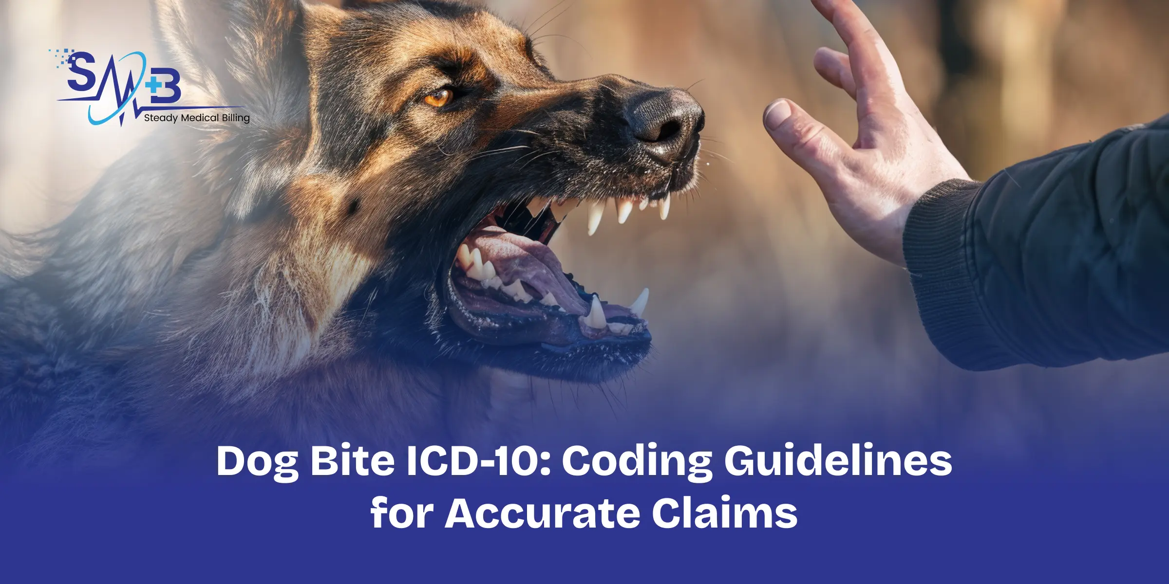 Dog Bite ICD-10_ Coding Guidelines for Accurate Claims